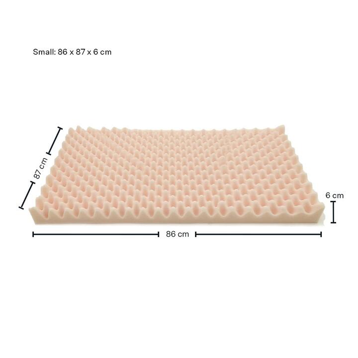262469658.jpg