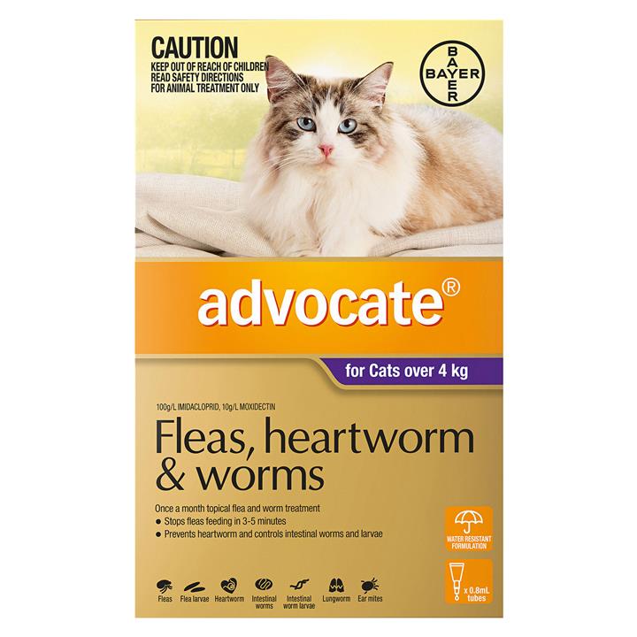 Advocate For Cats Over 4kg (Purple) 3 Doses
