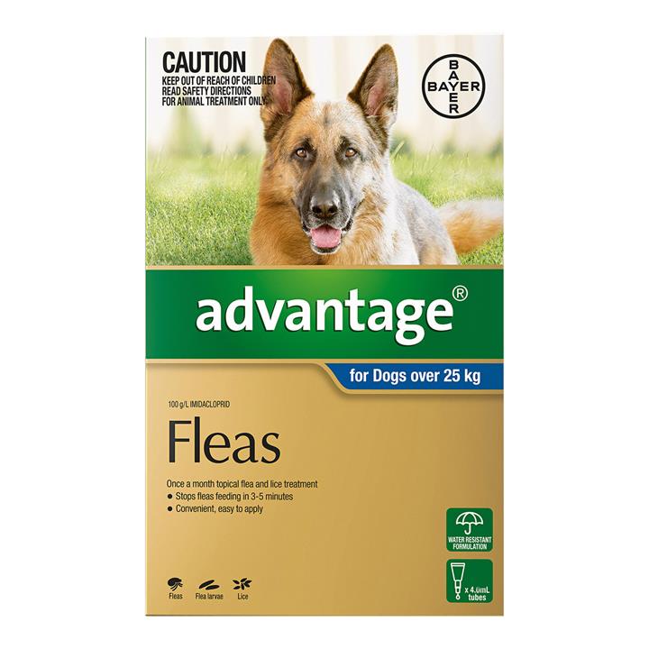 Advantage For Extra Large Dogs Over 25kg (Blue) 4 Doses