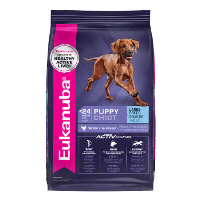 Eukanuba Large Breed Puppy Dry Dog Food  15 Kg