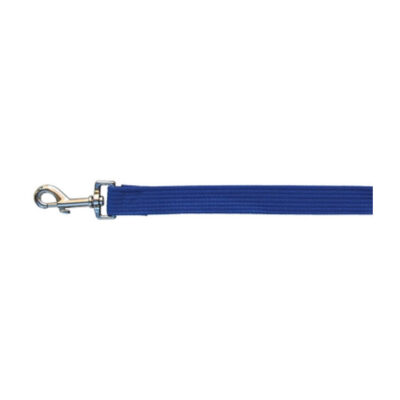 Beau Pets Webbing Lead - Blue 25 Mm X 180cm