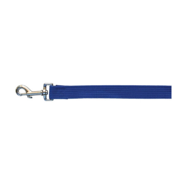 Beau Pets Webbing Lead - Blue 25 Mm X 180cm