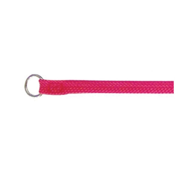 Beau Pets Single Nylon Choker Lead - Pink  10 Mm X 180cm