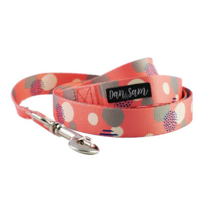 Dan & Sam Polyester Webbing Lead For Dogs - Fabulous 1.5 X 150cm - Small