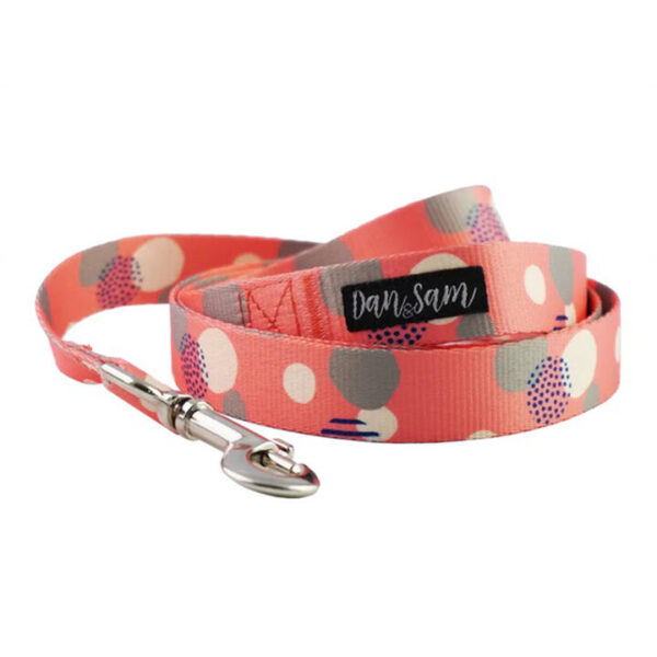 Dan & Sam Polyester Webbing Lead For Dogs - Fabulous 1.5 X 150cm - Small