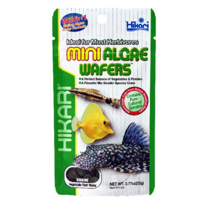 Hikari Mini Algae Wafers Herbivores Fish Food  22 Gm